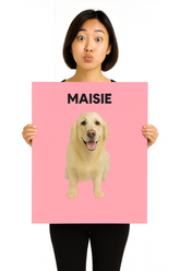 Custom - Premium luster paper poster