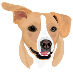 Custom Pet Portrait - Digital Print