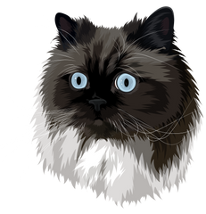 Custom Pet Portrait - Digital Print