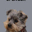 Custom Pet Portrait - Digital Print