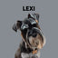 Custom Pet Portrait - Digital Print