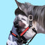 Custom Pet Portrait - Digital Print