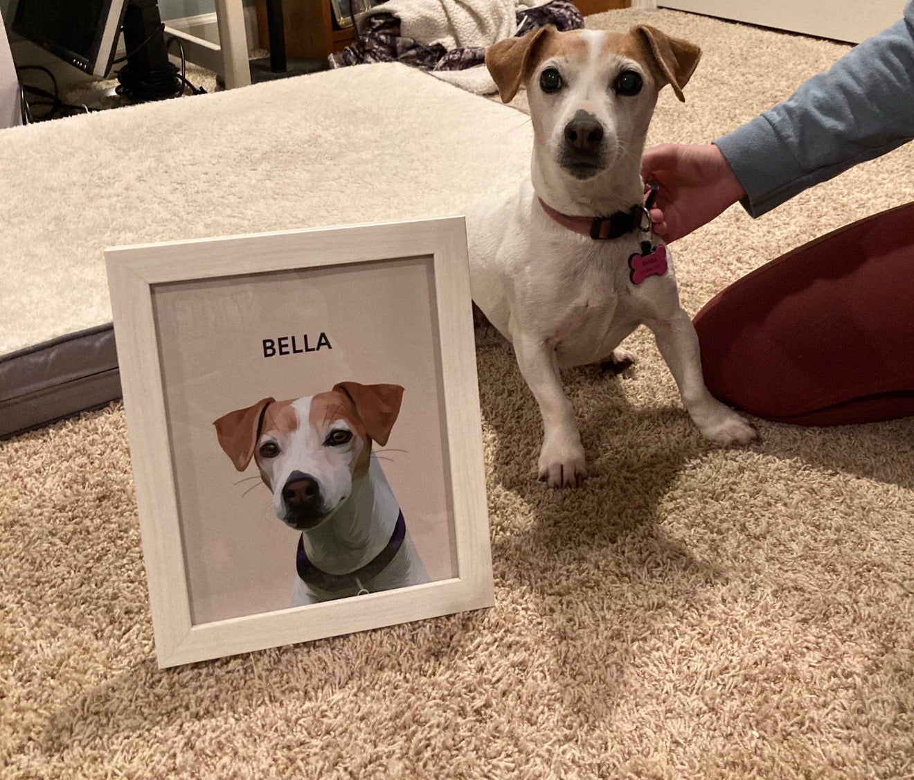 Custom Pet Portrait
