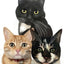Custom Pet Portrait - Digital Print