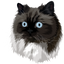 Custom Pet Portrait - Digital Print