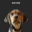 Custom Pet Portrait - Digital Print